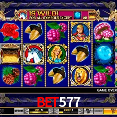bet577 Rio de Janeiro - Bonus Terms